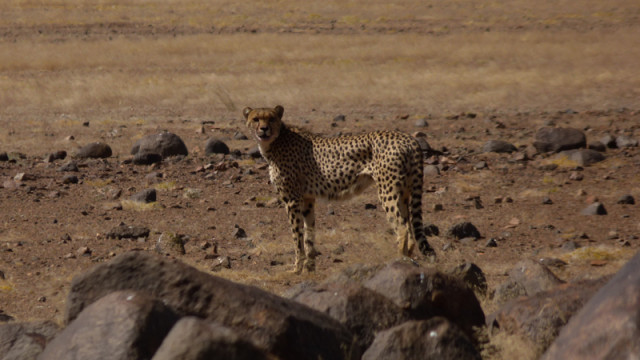 Namibia Reise voller Kontraste